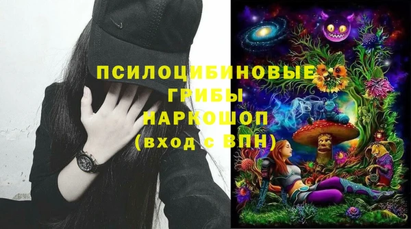 ГАЛЛЮЦИНОГЕННЫЕ ГРИБЫ Армянск