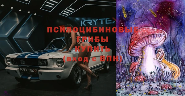 ГАЛЛЮЦИНОГЕННЫЕ ГРИБЫ Армянск