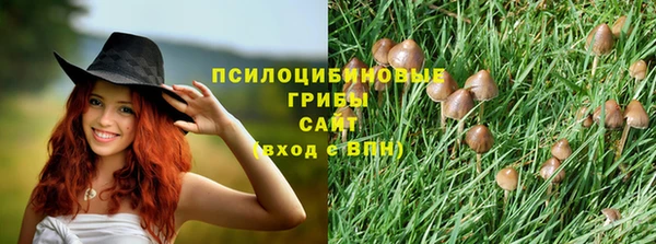 мет Аркадак