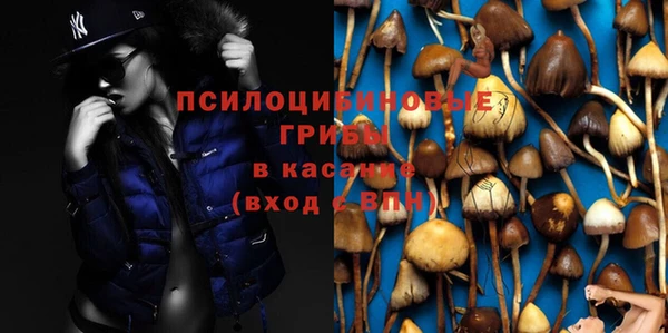 винт Арсеньев