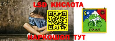 стаф Коломна