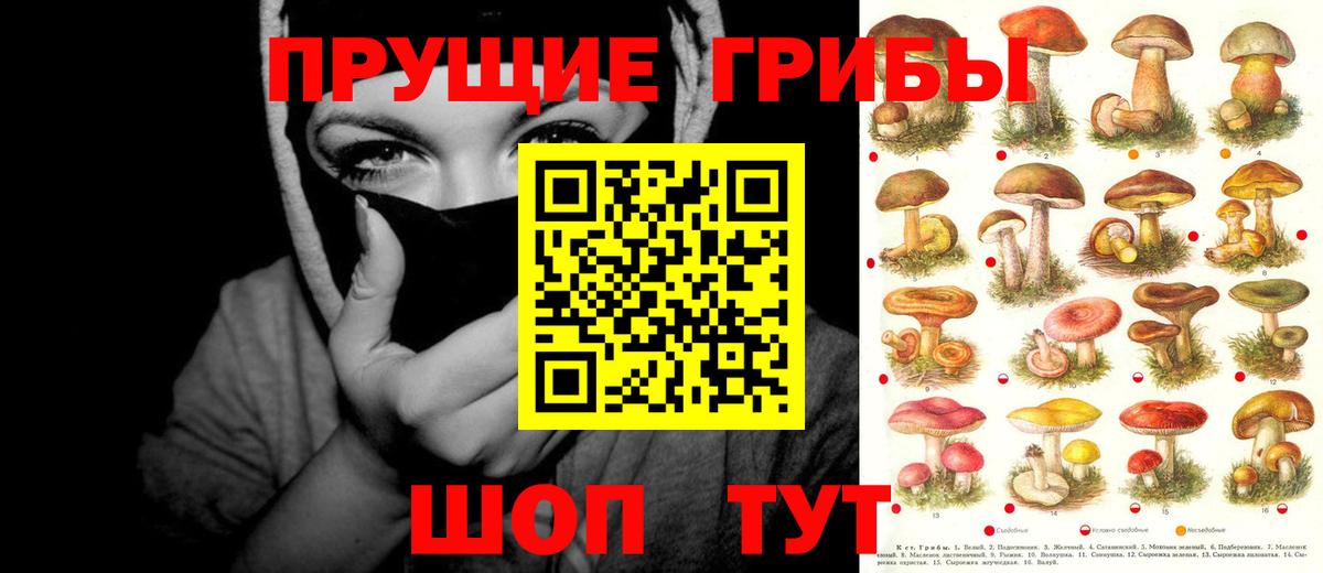 Тавда  Галлюциногенные грибы прущие грибы  Псилоцибиновые грибы ЛСД  Вход с VPN 