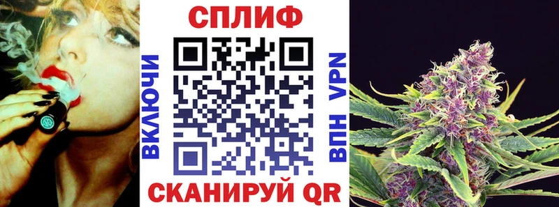 Канабис индика  хочу наркоту  Тавда 